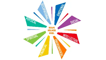 Residence Life wellness wheel eight programming categories